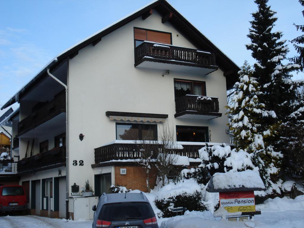 Claudias Wohlfuhlpension Willingen  Extérieur photo